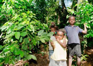 Kim Deslauriers – accompagnatrice Haiti 2016