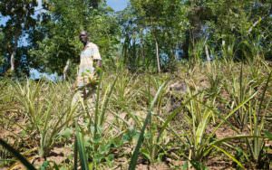 Christina Mattie Driedger – Stage Haiti 2016