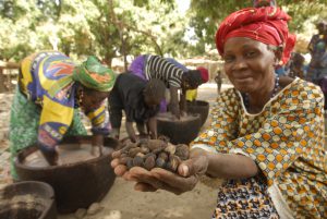 Le Carrefour de solidarité internationale célèbre le mois de mai équitable